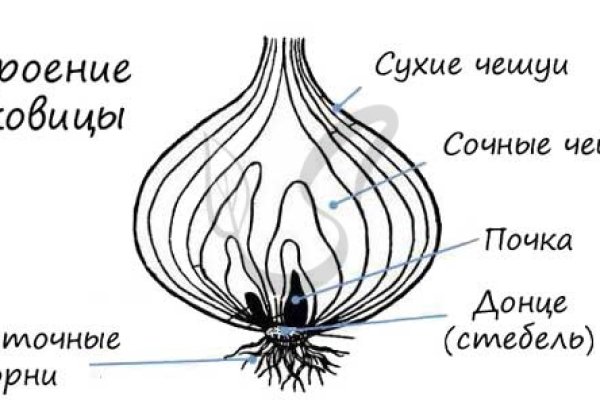 Kraken tor onion