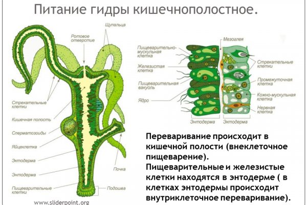Кракен современный даркнет маркет плейс