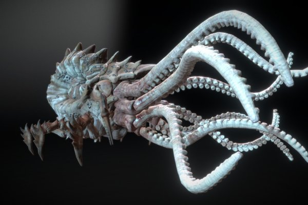 Kraken сайт krakens15 at